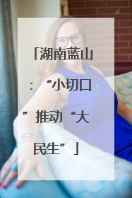 湖南蓝山：“小切口”推动“大民生”