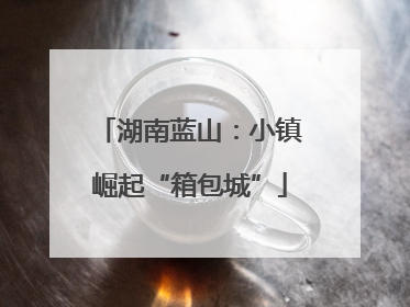 湖南蓝山：小镇崛起“箱包城”