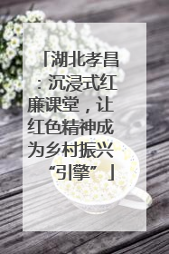 湖北孝昌：沉浸式红廉课堂，让红色精神成为乡村振兴“引擎”