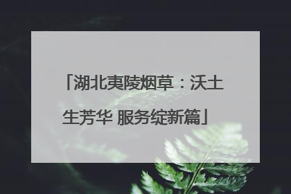 湖北夷陵烟草：沃土生芳华 服务绽新篇
