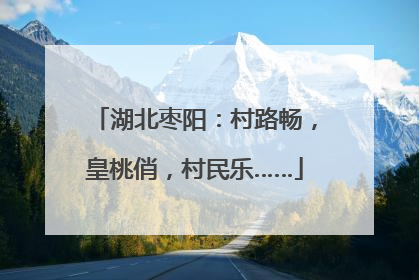 湖北枣阳：村路畅，皇桃俏，村民乐……