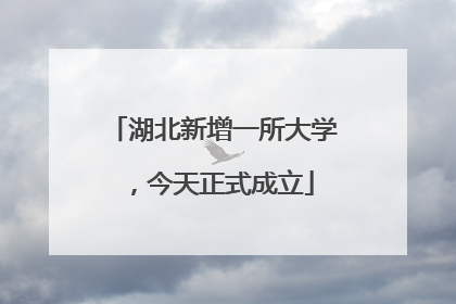 湖北新增一所大学，今天正式成立