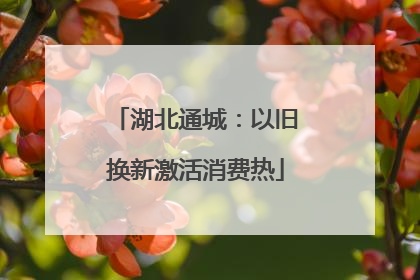 湖北通城：以旧换新激活消费热