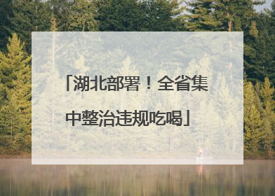 湖北部署！全省集中整治违规吃喝