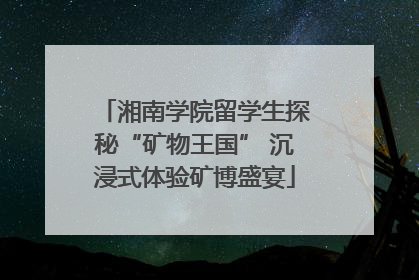 湘南学院留学生探秘“矿物王国” 沉浸式体验矿博盛宴