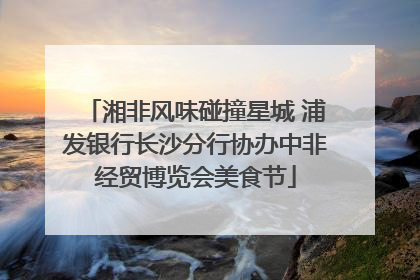 湘非风味碰撞星城 浦发银行长沙分行协办中非经贸博览会美食节
