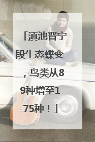 滇池晋宁段生态蝶变，鸟类从89种增至175种！