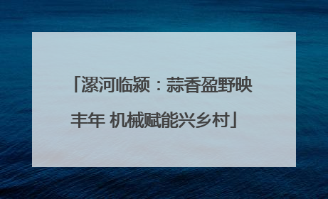 漯河临颍：蒜香盈野映丰年 机械赋能兴乡村