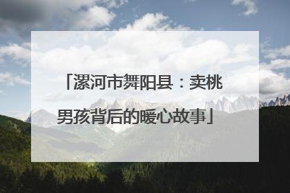 漯河市舞阳县：卖桃男孩背后的暖心故事