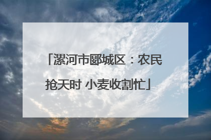 漯河市郾城区：农民抢天时 小麦收割忙