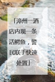 漳州一酒店内现一条活鳄鱼，警民联手快速处置