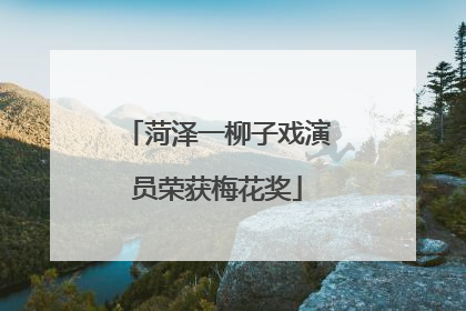 菏泽一柳子戏演员荣获梅花奖