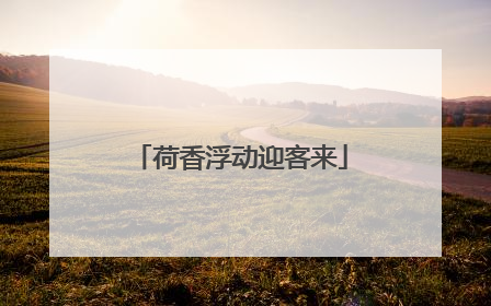 荷香浮动迎客来
