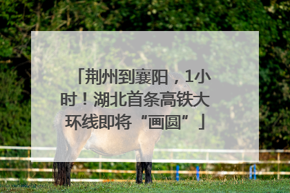 荆州到襄阳，1小时！湖北首条高铁大环线即将“画圆”