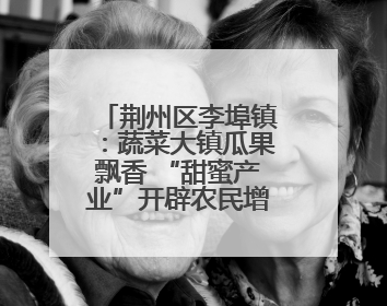 荆州区李埠镇：蔬菜大镇瓜果飘香 “甜蜜产业”开辟农民增收“新赛道”