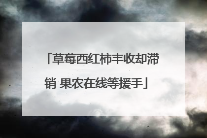 草莓西红柿丰收却滞销 果农在线等援手