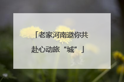 老家河南邀你共赴心动旅“城”