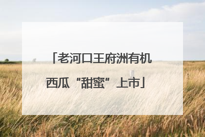老河口王府洲有机西瓜“甜蜜”上市