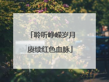 聆听峥嵘岁月 赓续红色血脉