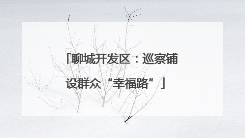 聊城开发区：巡察铺设群众“幸福路”