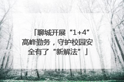 聊城开展“1+4”高峰勤务，守护校园安全有了“新解法”