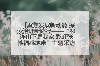 聚焦发展新动能 探索治理新路径——“祁连山下是我家 彩虹张掖福感地带”主题采访活动走进山丹