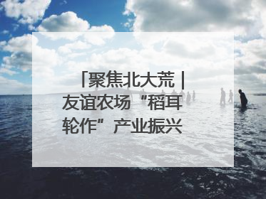 聚焦北大荒｜友谊农场“稻耳轮作”产业振兴“花开两朵”