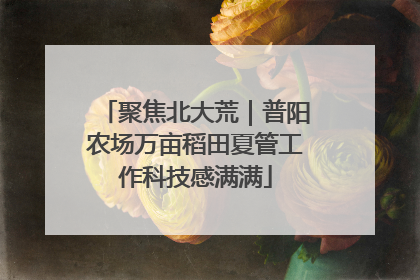 聚焦北大荒｜普阳农场万亩稻田夏管工作科技感满满