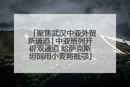 聚焦武汉中亚外贸新通道│中亚班列开辟双通道 哈萨克斯坦饲用小麦将抵鄂