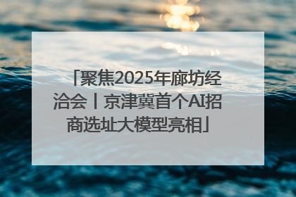 聚焦2025年廊坊经洽会丨京津冀首个AI招商选址大模型亮相