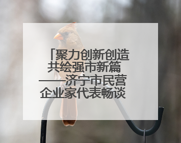 聚力创新创造 共绘强市新篇——济宁市民营企业家代表畅谈高质量发展