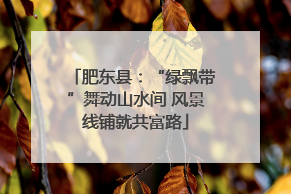 肥东县：“绿飘带”舞动山水间 风景线铺就共富路