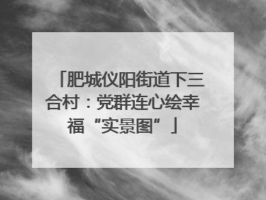 肥城仪阳街道下三合村：党群连心绘幸福“实景图”