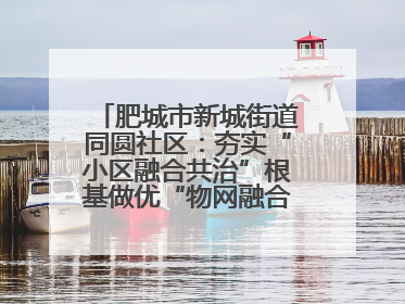 肥城市新城街道同圆社区：夯实“小区融合共治”根基做优“物网融合一家亲”品牌