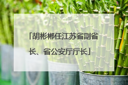 胡彬郴任江苏省副省长、省公安厅厅长
