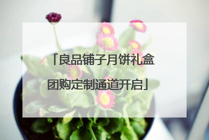 良品铺子月饼礼盒团购定制通道开启