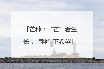 芒种：“芒”着生长，“种”下希望