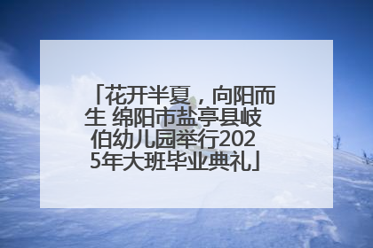 花开半夏，向阳而生 绵阳市盐亭县岐伯幼儿园举行2025年大班毕业典礼