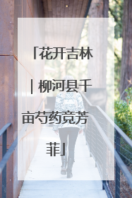 花开吉林｜柳河县千亩芍药竞芳菲