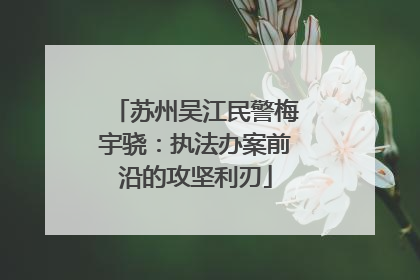 苏州吴江民警梅宇骁：执法办案前沿的攻坚利刃