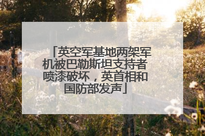 英空军基地两架军机被巴勒斯坦支持者喷漆破坏，英首相和国防部发声