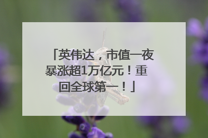 英伟达，市值一夜暴涨超1万亿元！重回全球第一！