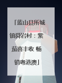 蓝山县所城镇舜岩村：紫茄喜丰收 畅销粤港澳