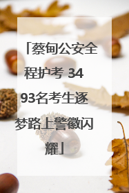 蔡甸公安全程护考 3493名考生逐梦路上警徽闪耀