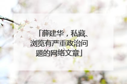 薛建华，私藏、浏览有严重政治问题的网络文章
