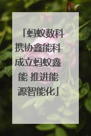 蚂蚁数科携协鑫能科成立蚂蚁鑫能 推进能源智能化