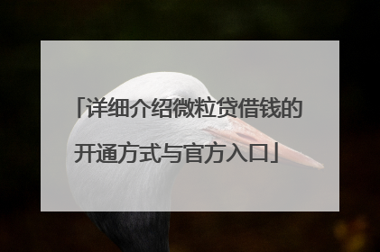 详细介绍微粒贷借钱的开通方式与官方入口