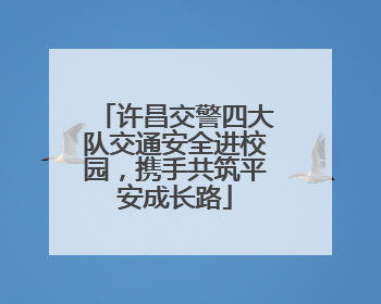 许昌交警四大队交通安全进校园，携手共筑平安成长路