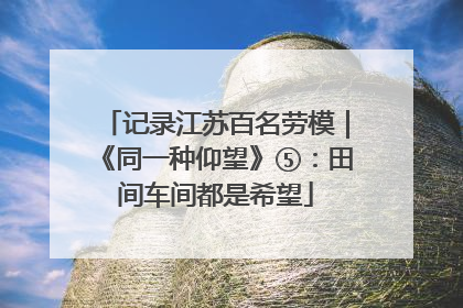 记录江苏百名劳模｜《同一种仰望》⑤：田间车间都是希望