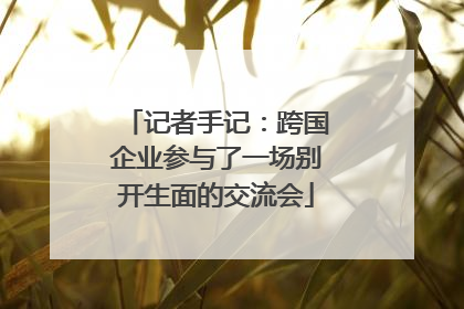 记者手记：跨国企业参与了一场别开生面的交流会